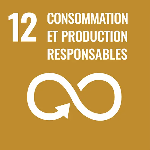 F-WEB-Goal-12 Objectif de développement durable 12, consommation et production responsables