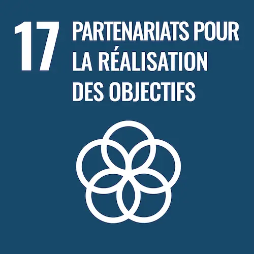F-WEB-Goal-17 Objectif de développement durable 17, partenariats pour la réalisation des objectifs
