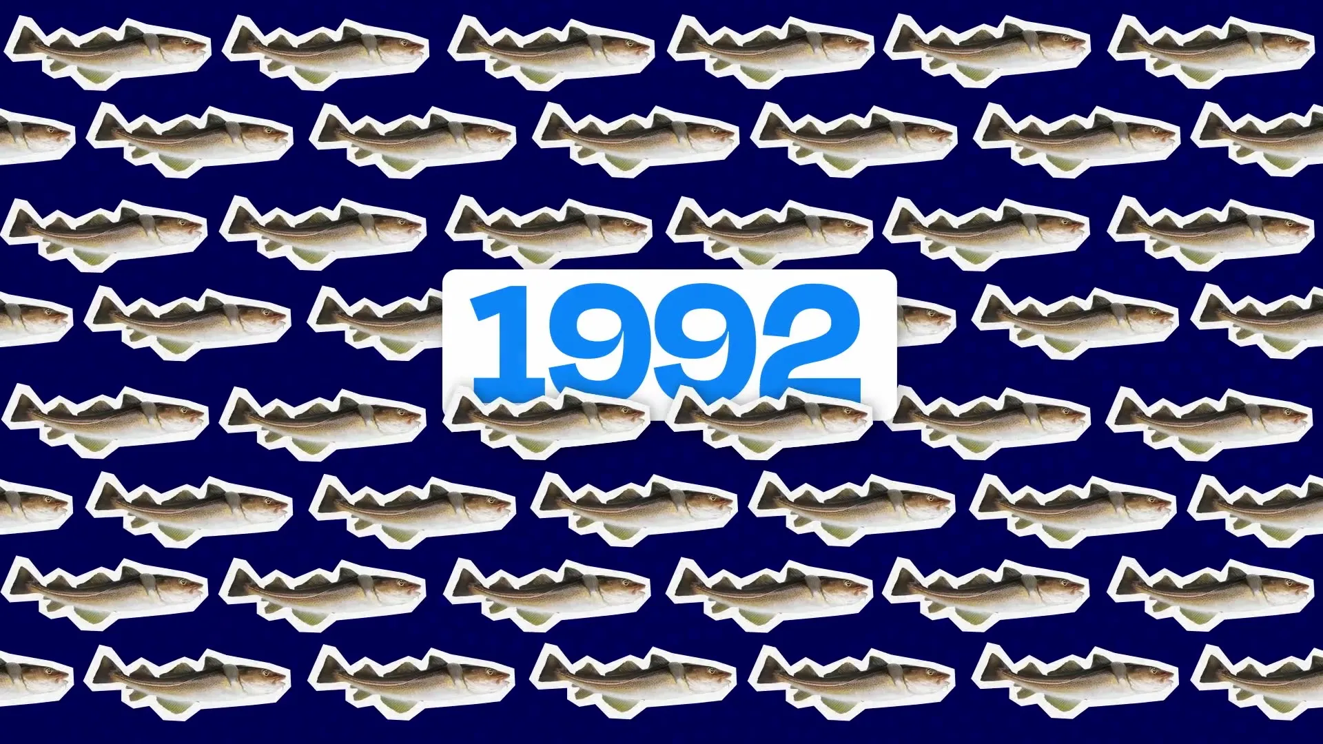 Extrait de la vidéo Nausicaá, un banc de poissons et la date 1992
