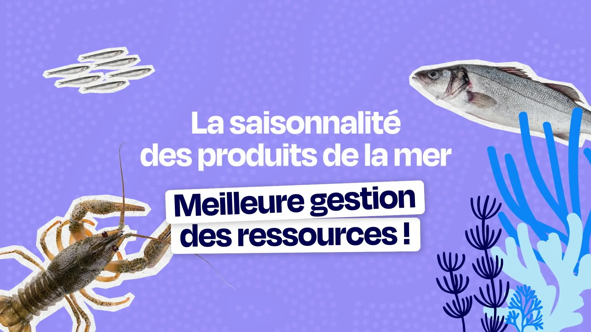 Extrait de la vidéo Nausicaá, « La saisonnalité des produits de la mer, meilleure gestion des ressources »